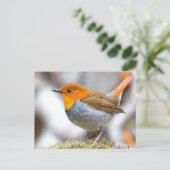 Japanisch Robin Postkarte (Stehend Vorderseite)