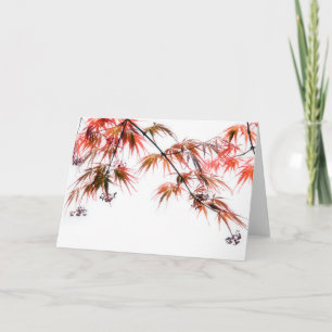 Japanisch Rote Ahorn Art Fotografie L Karte