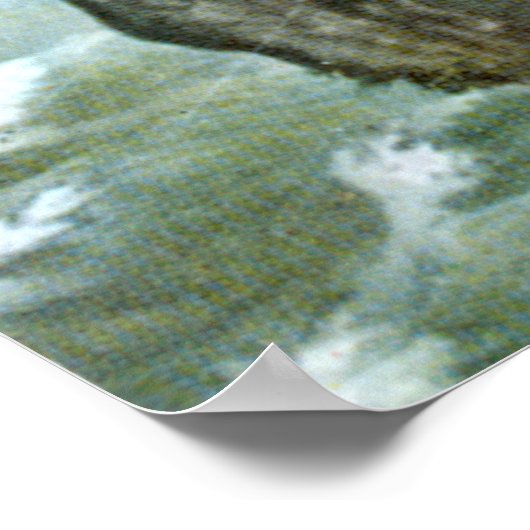 Japanisch Samurai in Tree Poster (Ecke)