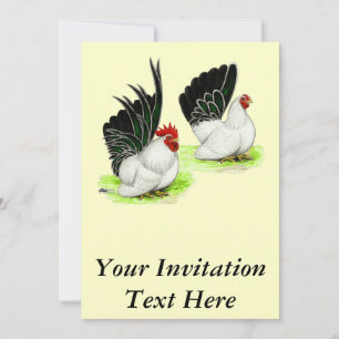 Japanisch Schwarz-weiß Bantams Einladung