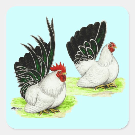 Japanisch Schwarz-weiß Bantams Quadratischer Aufkleber (Vorderseite)