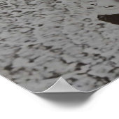 Japanisch Solaris Poster (Ecke)