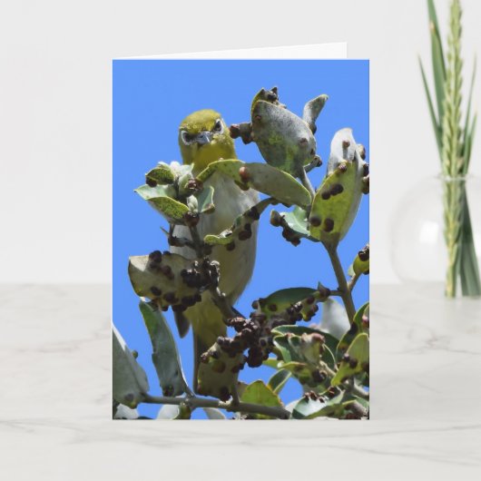 Japanisch Weißauge schauend mich an Karte (Vorderseite)