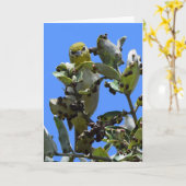 Japanisch Weißauge schauend mich an Karte (Gelbe Blume)