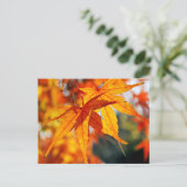 Japanische Ahorn-Blätter im Herbst Postkarte (Stehend Vorderseite)