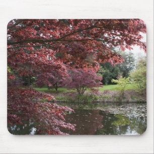 Japanische Ahornbäume im Botanischen Garten Van Du Mousepad