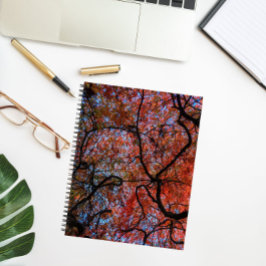 Japanische Ahornbaumzweige im Frühherbst Foto Notizblock