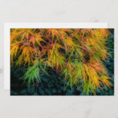 Japanische Ahornbilder im Herbst Briefpapier (Vorne/Hinten)