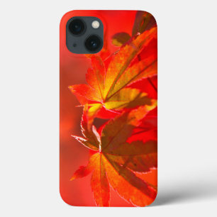 Japanische AhornBlätter Case-Mate iPhone Hülle