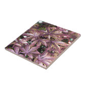 Japanische AhornBlätter Fliese (Seite)