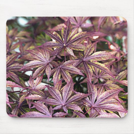 Japanische AhornBlätter Mousepad (Vorne)