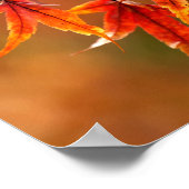 Japanische AhornBlätter Poster (Ecke)