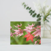 Japanische AhornBlätter Postkarte (Stehend Vorderseite)