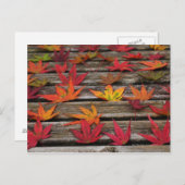 Japanische AhornBlätter Postkarte (Vorne/Hinten)