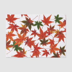 Japanische AhornBlätter Seidenpapier