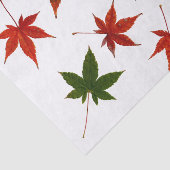 Japanische AhornBlätter Seidenpapier (Ausschnitt)