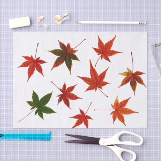 Japanische AhornBlätter Seidenpapier (Handwerk)