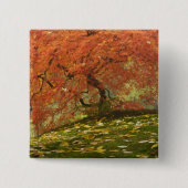 Japanische Ahornfarbe Button (Vorderseite)