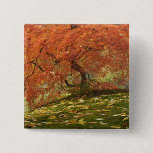 Japanische Ahornfarbe Button