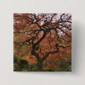 Japanische Ahornfarbe Button (Vorderseite)