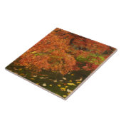 Japanische Ahornfarbe Fliese (Seite)