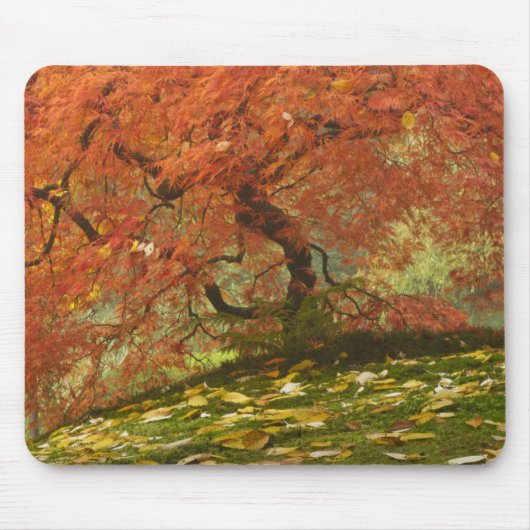 Japanische Ahornfarbe Mousepad (Vorne)