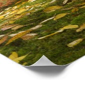 Japanische Ahornfarbe Poster (Ecke)