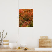 Japanische Ahornfarbe Poster (Küche)