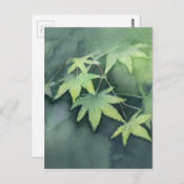 Japanische Ahornfarbe Postkarte (Vorne/Hinten)