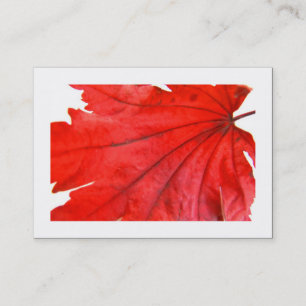 Japanische Ahornleaf (grenzt an Visitenkarte
