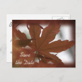 Japanische Ahornleaf-Hochzeit im Herbst Save the D Ankündigungspostkarte (Vorne/Hinten)