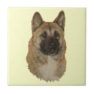 Japanische/amerikanische Akita-Hund-Porträt-Kunstf Fliese