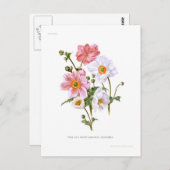 Japanische Anemone Postkarte (Vorne/Hinten)
