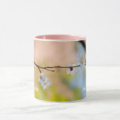 Japanische Apricot-Blume Tasse (Zentrum)