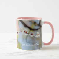 Japanische Apricot-Blume