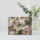 Japanische Aprikose "Tsuki-kage" [Postkarte] Postkarte (Stehend Vorderseite)