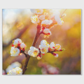 Japanische Aprikosen-Blume bei Orange Sunset Geschenkpapier (Flach)