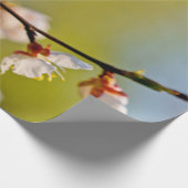 japanische Aprikosen-Blume Geschenkpapier (Ecke)