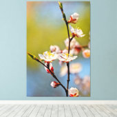 Japanische Aprikosenblüten Leinwanddruck (Insitu (Holzboden))