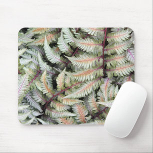 Japanische Athyrium Pictum Fern Fronds Mousepad