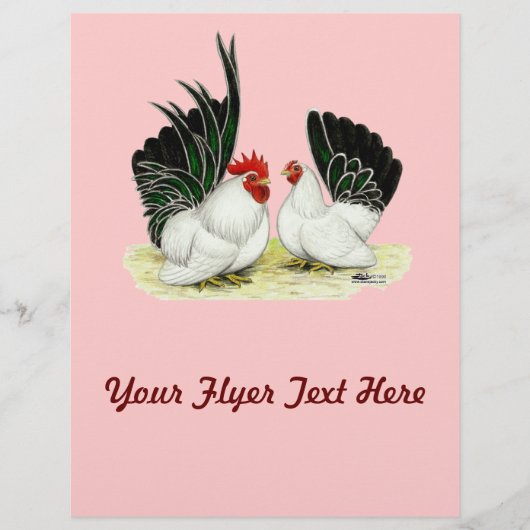 Japanische Blacktail Bantams Flyer (Vorne)