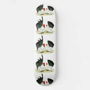 Japanische Blacktail Bantams Skateboard
