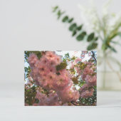 Japanische Blüte 2Cherry Postkarte (Stehend Vorderseite)