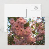 Japanische Blüte 2Cherry Postkarte (Vorne/Hinten)