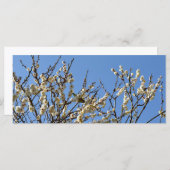 Japanische Blüten aus Weiß- und Pflaumenblättern: (Vorne/Hinten)