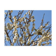 Japanische Blüten aus Weiß- und Pflaumenblättern: