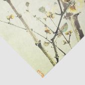 JAPANISCHE CHERRY-BLOSSOM-Tissue Seidenpapier (Ausschnitt)