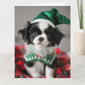 Japanische Chin Elf Welppy-Weihnachtskarte Karte (Vorderseite)