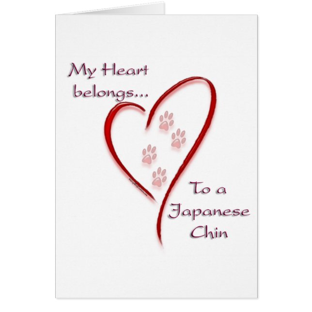 Japanische Chin Heart Belongs (Vorne)