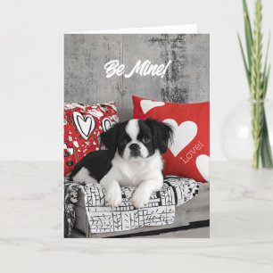 Japanische Chin Welppy Valentine Card Dankeskarte